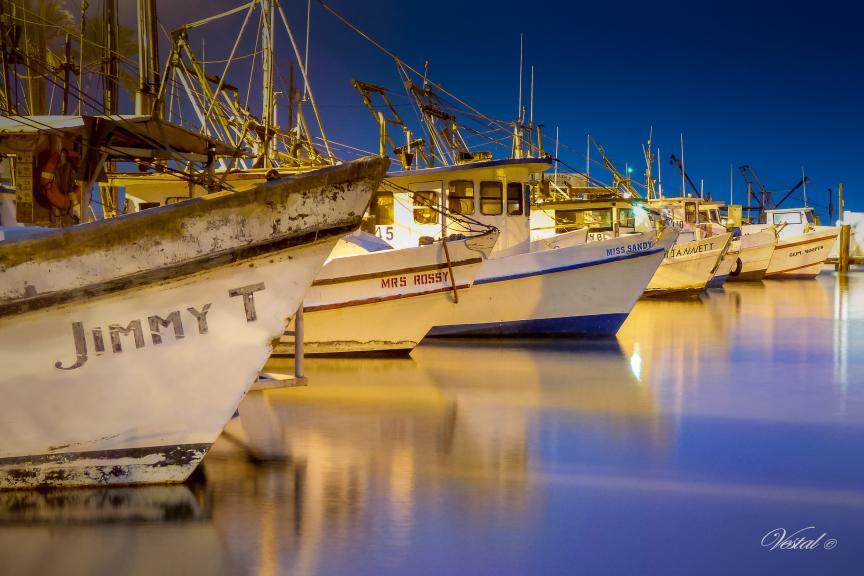fulton-harbor-oyster-fleet